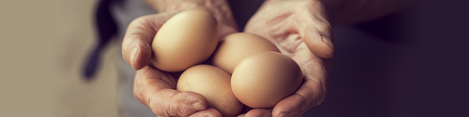 La Pasta con uova fresche di galline allevate a terra