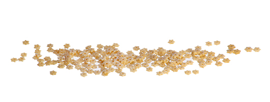 Pasta Garofalo - Whole Wheat Stelline